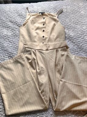Tullea Neutral Pinstripe Wide-Leg Jumpsuit with Button Front. Womens size XL.